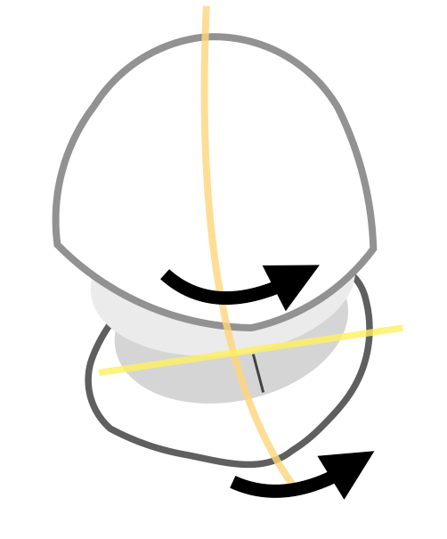 非対称・上下あご傾斜タイプ(カント)